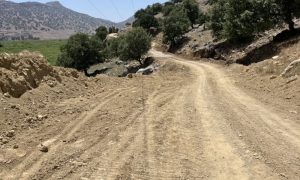 ۶.۲ هزار میلیارد ریال اعتبار در دولت سیزدهم برای عشایر خوزستان هزینه شد