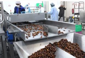 صدور ۱۳۰ مجوز صنعتی در خوزستان با اشتغالزایی بیش از ۲۴۰۰ نفر