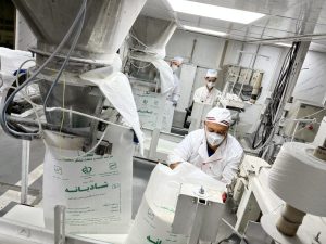 عرضه شبانهروزی شکر ادامه دارد؛ تولید بیش از ۷۲۱ هزار تن شکر سفید در توسعه نیشکر