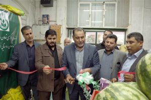 به صورت وبیناری و با حضور وزیر جهاد کشاورزی انجام شد: افتتاح ۷ روستا بازار با اعتباری بالغ بر ۵۵ میلیارد ریال در خوزستان
