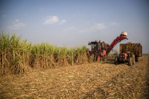 پیشنهاد ترویج فرهنگ برره ای توسط برخی افراد معلوم الحال به جوانان جویای کار در شهرستان کرخه