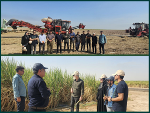 نیشکر خوزستان در قاب دوربین عکاسان کشوری؛عکاسان کشوری از ظرفیت‌های صنعت نیشکر بازدید کردند