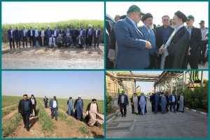 در بازدید نماینده ولی‌فقیه در امور حج و زیارت از کشت و صنعت دعبل خزاعی مطرح شد؛ نیشکر نقش مهمی در اقتصاد و صیانت از محیط‌زیست دارد