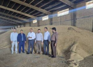 خرید گندم توسط شبکه تعاون روستایی شهرستان شوشتر از مرز ۸۰ هزار تن گذشت
