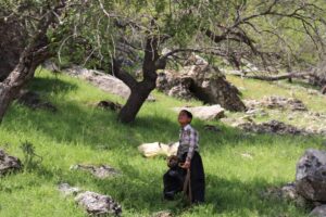 مستند «نازول» به نویسندگی و کارگردانی یوسف قناتی، نماینده سینمای ایران در جشنواره فیلم هرتسگ نووی شد