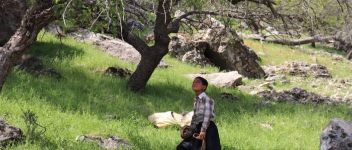 مستند «نازول» به نویسندگی و کارگردانی یوسف قناتی، نماینده سینمای ایران در جشنواره فیلم هرتسگ نووی شد